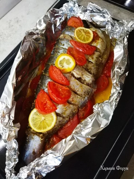 ab7d0102e652c0a4fdb1e4f8.webp ab7d0102e652c0a4fdb1e4f8.webp