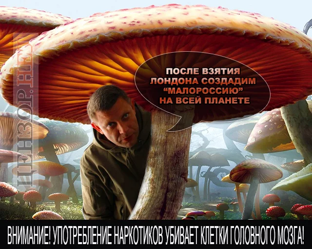 ab8hjb.webp