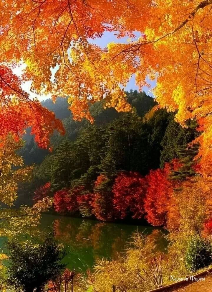 ab9c352e220b6d56d41b0e.webp