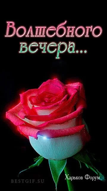 aba6e0b4ac73e78c81b.webp