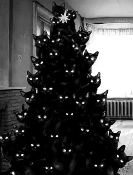abb110b6d3487125.gif