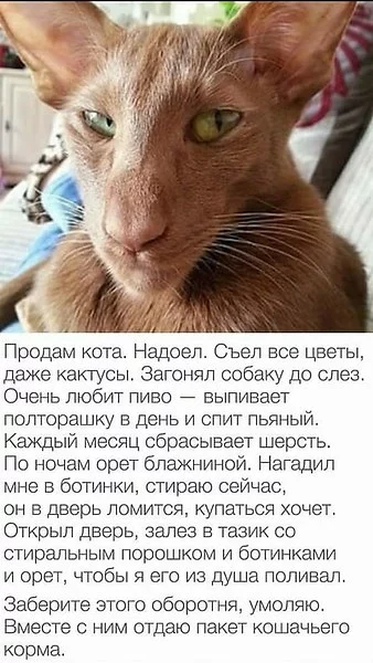 abbhb1.webp