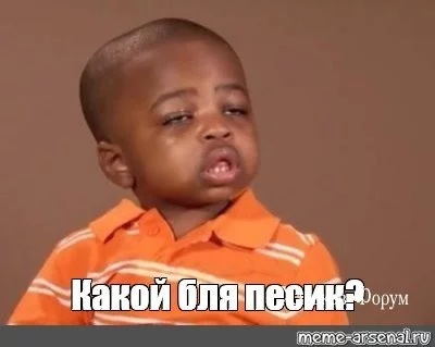abcb8925a91609f5333.webp