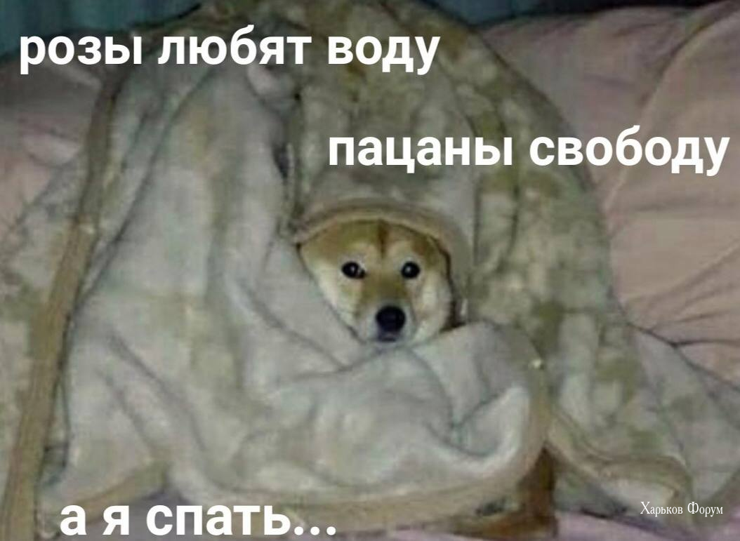 abcc4bfcbe654cd2ea37f.png
