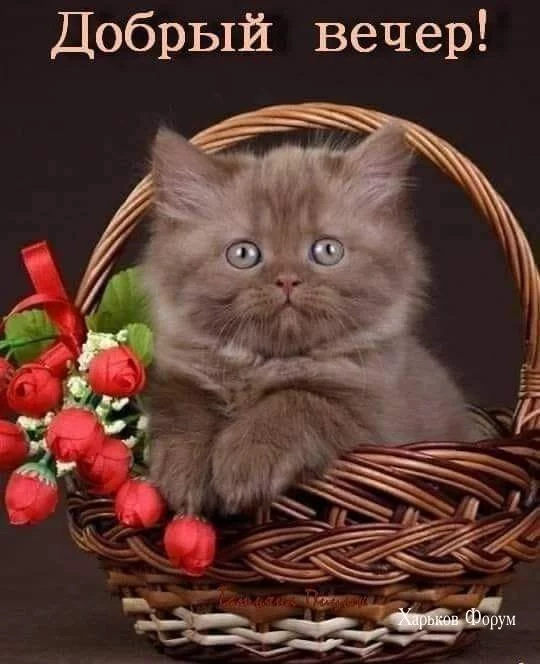 abd94a6ff5a5be4949b3.webp