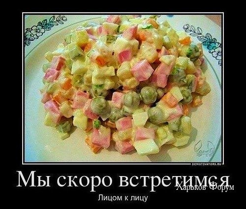 abd9cd766f8cd1c07a9d.jpg
