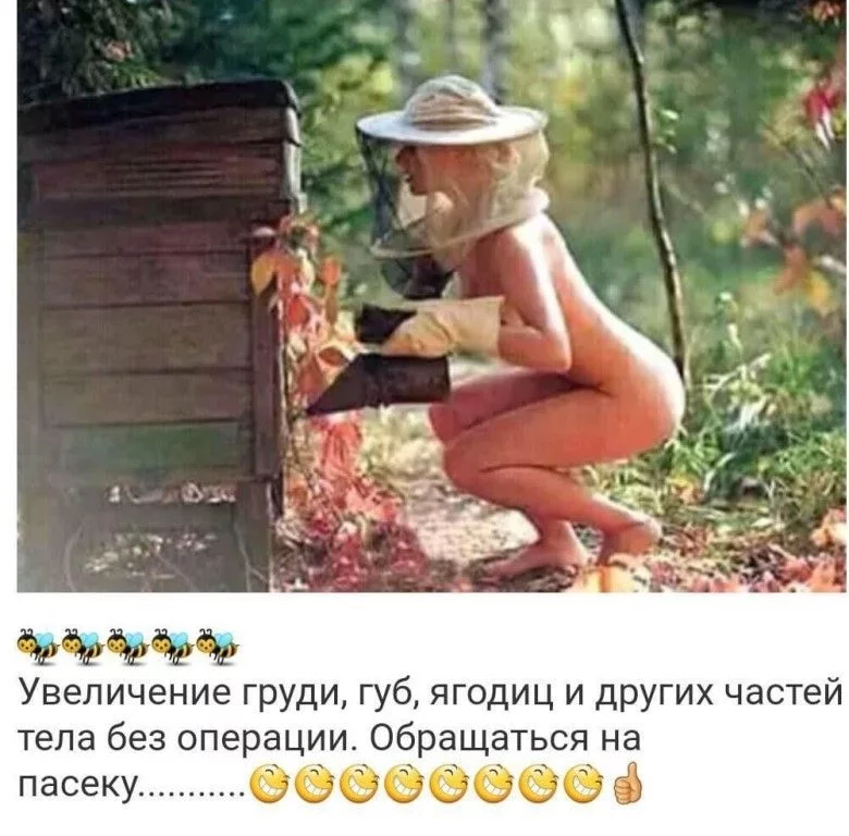 abdd3f.webp