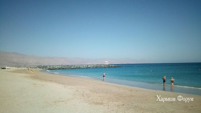 abdeeff878410820.jpg