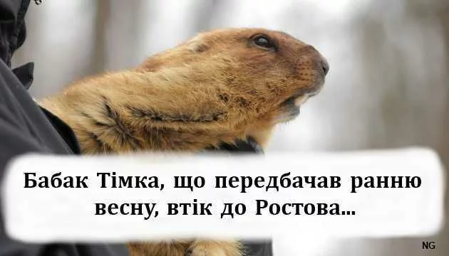 abdf2c.webp