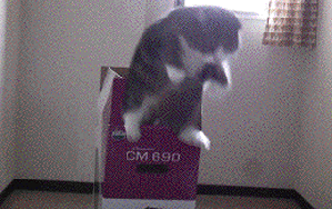 abdfh6.gif