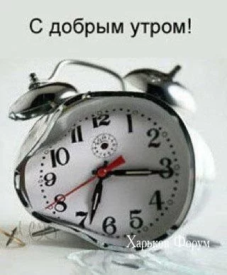 abeca27781e6207f53.webp