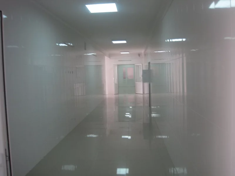 abf0bh.webp