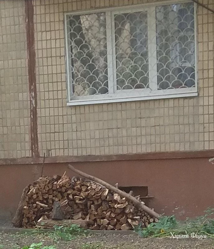 abf101165f1cc0707a267f.webp