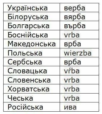 abfba4.webp