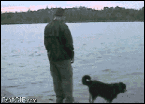 abgd6c.gif