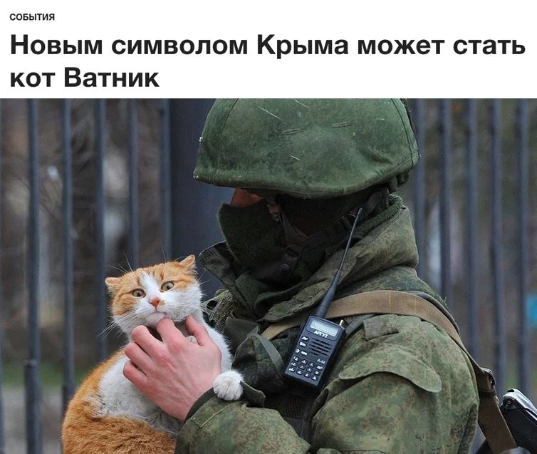 abjbh6.webp