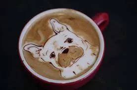 abjfd9.webp