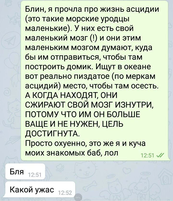 ac0ffg.webp
