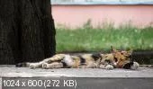 ac3043857e701b2c40abbaf063673e69.webp