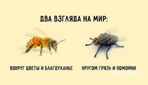 ac33eb61e22326f27101245d.jpg