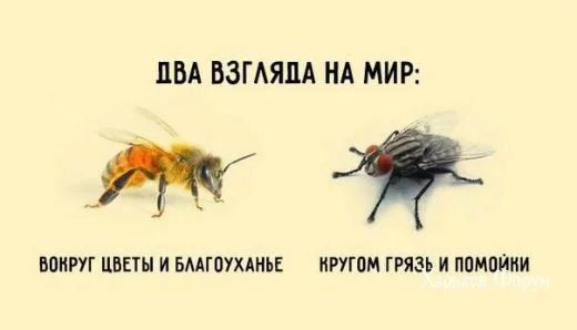 ac33eb61e22326f27101245d.webp