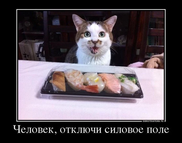 ac3cjd.webp