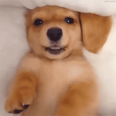 ac5dej.gif