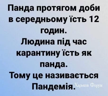ac5ea3037bcfdb3c4020ea.webp