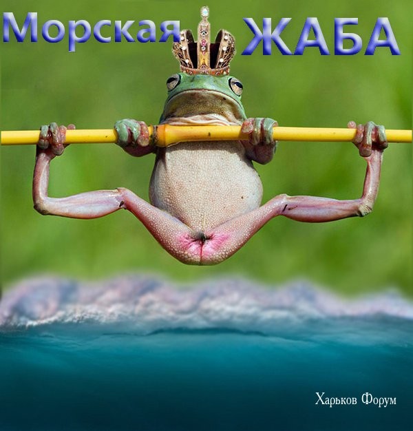 ac7324895c5ca9557fb041a8.jpg