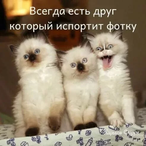 ac823c5e4c48aa87f9227e0c.webp