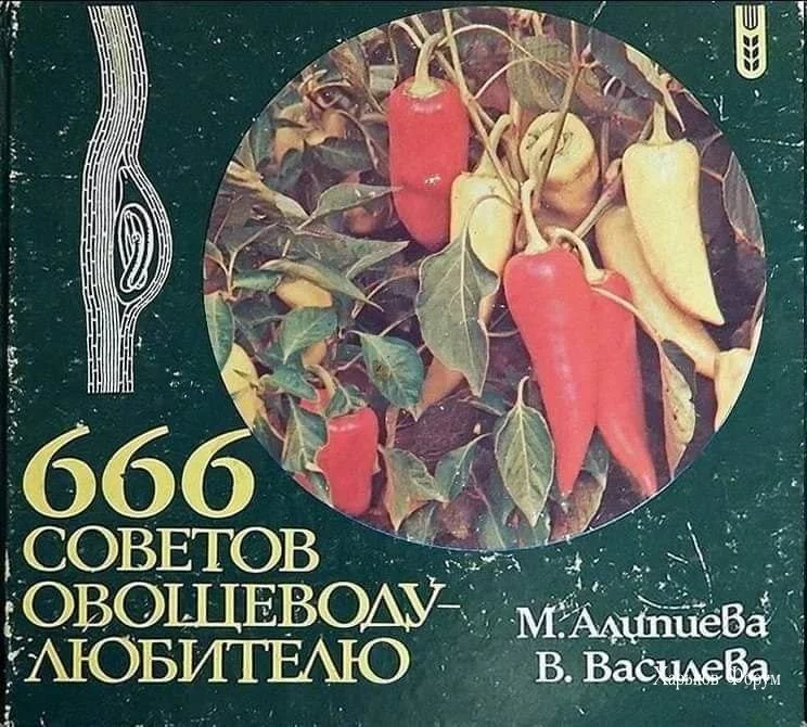 ac866c0e666e4da1c5269.webp