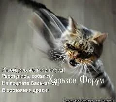 ac86def422908b134e33f65.webp