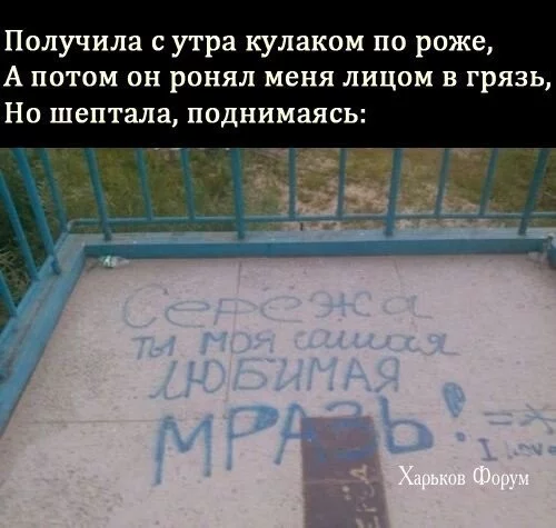 ac90ca5f80584768.webp