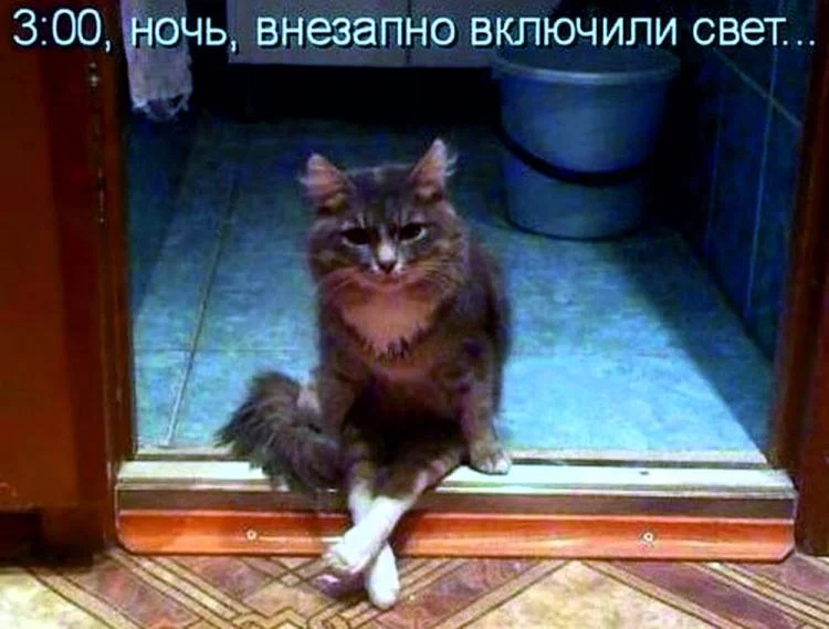 aca5ad.webp