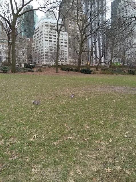 acbb8d.webp
