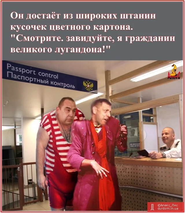 accbb8.webp