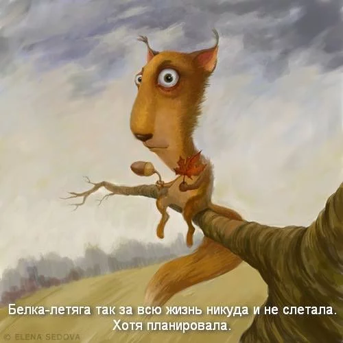acch6c.webp