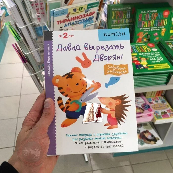 accjj8.webp