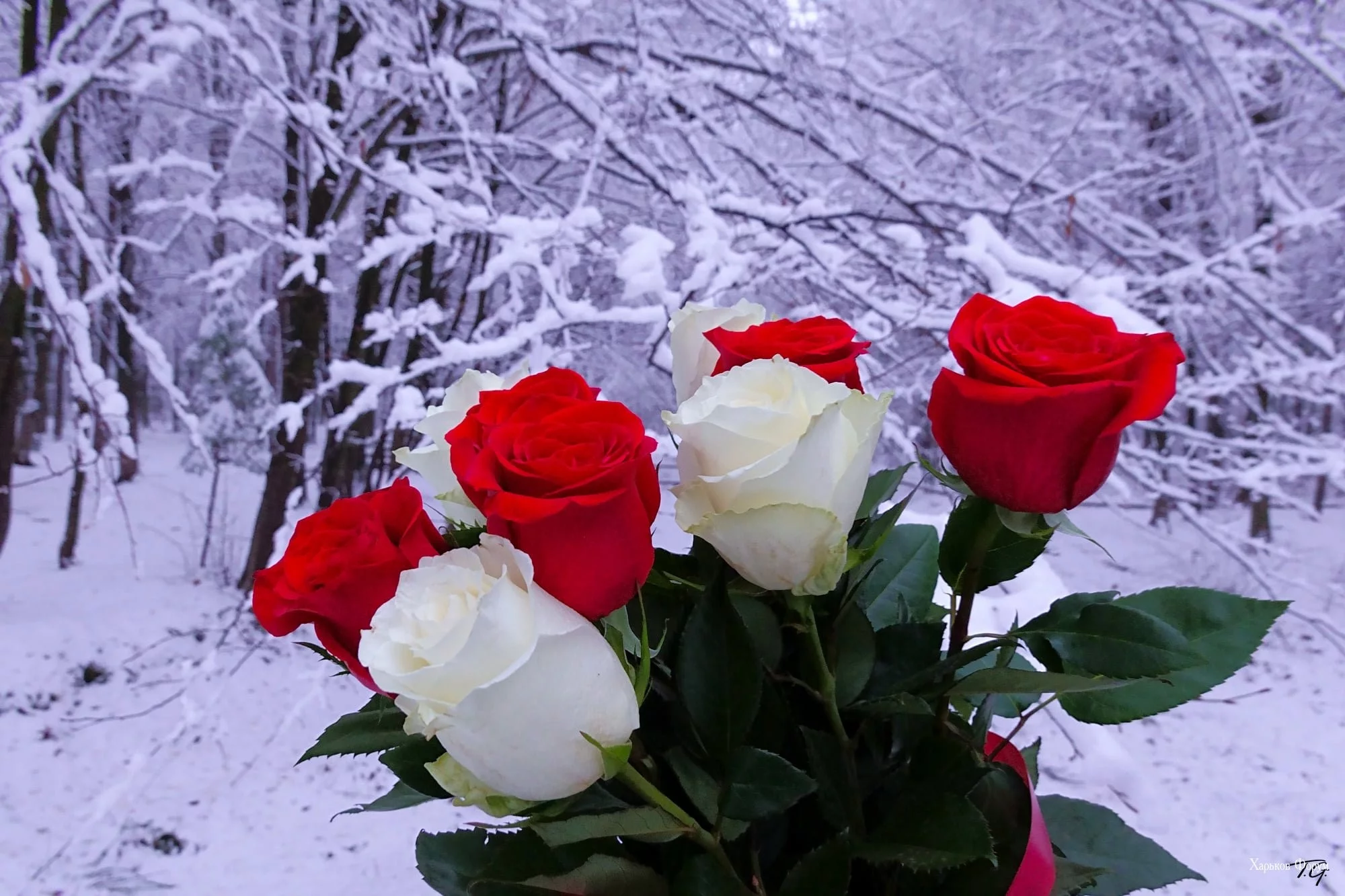 acd11cc45deb3c1ba7e5.webp