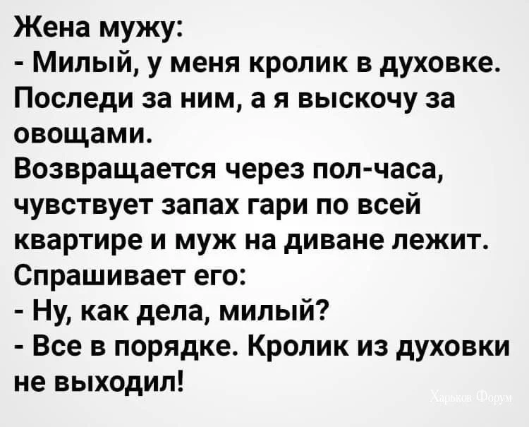 acd97c7fc6e67733b.webp