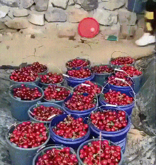 acdf3b12d4ff19b101.gif