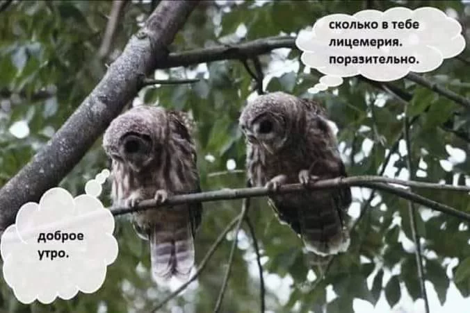 acdh7a.webp