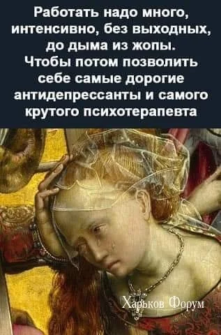 acfba6455b2f43332fdbe39.webp