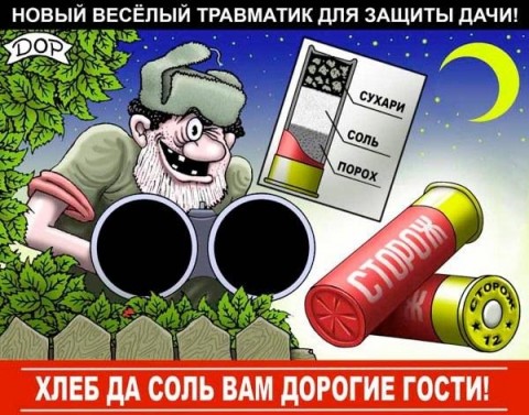 acfhf8.jpg