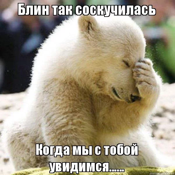 acjcg1.webp