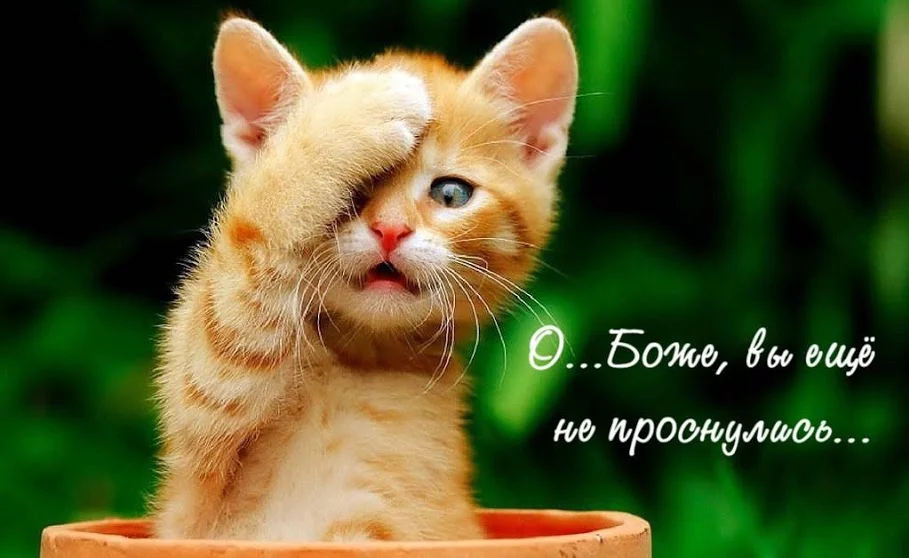 acjd3e.webp