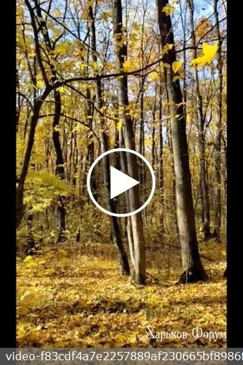 ad200204157c7d6836.webp