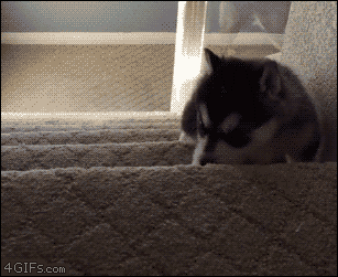 ad2ajc.gif
