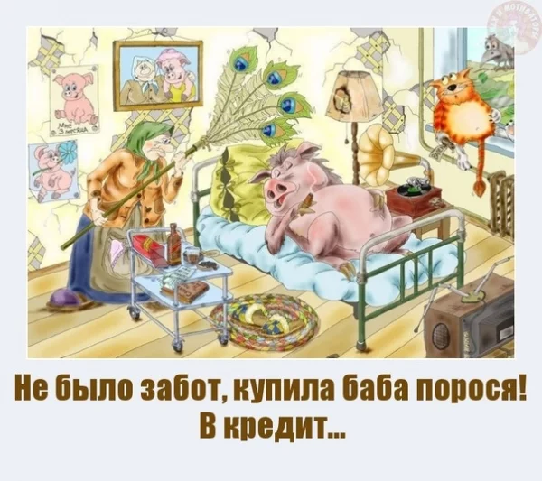 ad339d1a3cd641b160175feae8d505cc.webp