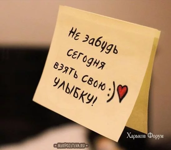 ad4651d72a835458e9d8.webp